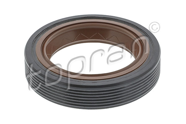 Shaft Seal, crankshaft (101 409)