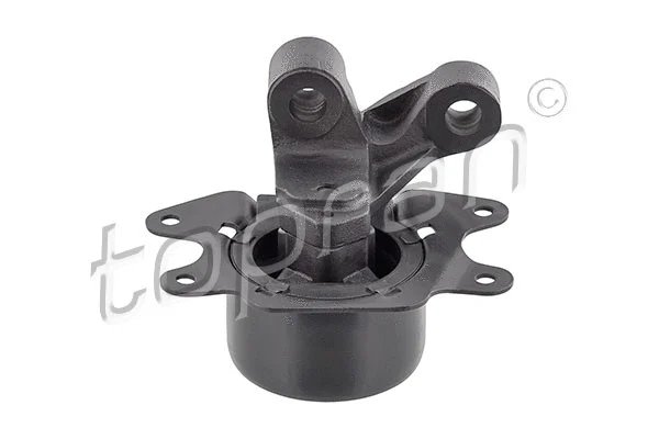 Mounting, engine (207 559)
