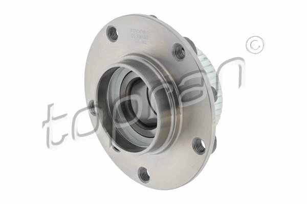 Wheel Bearing (500 360)