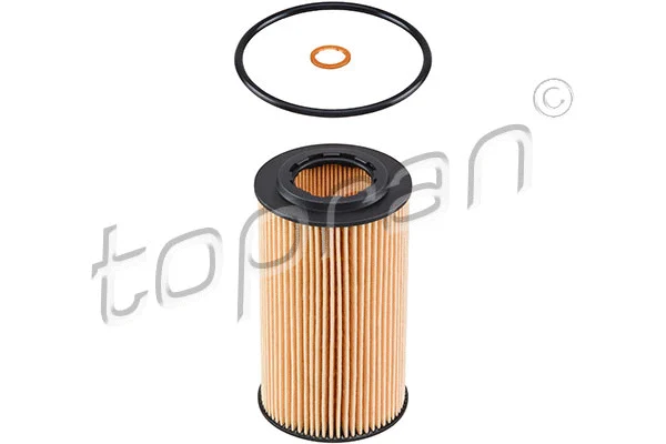 Oil Filter (500 732)