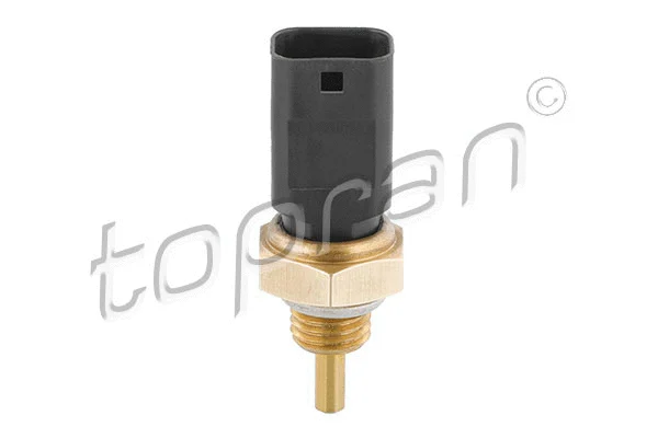 Sensor, coolant temperature (207 064)