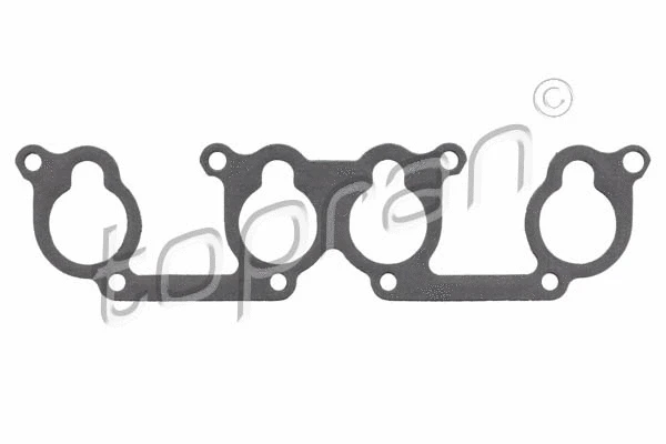 Gasket, intake manifold (100 724)