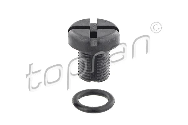 Breather Screw/Valve, radiator (501 437)