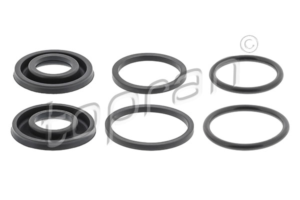 Repair Kit, brake caliper (207 696)