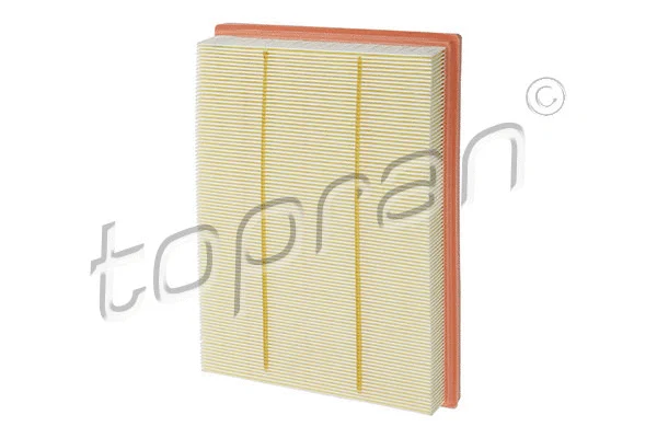 Air Filter (620 883)