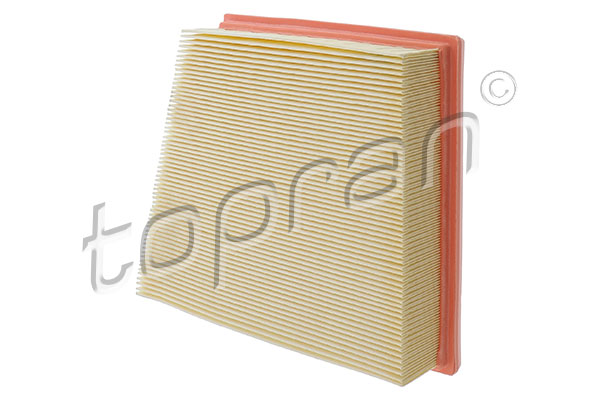 Air Filter (620 879)