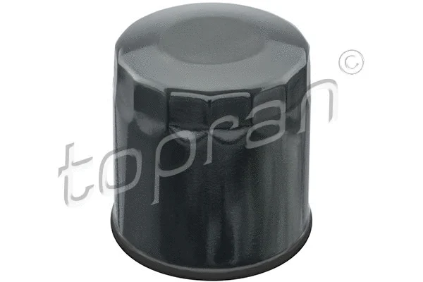 Oil Filter (820 197)