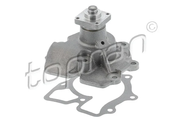 Water Pump, engine cooling (300 244)