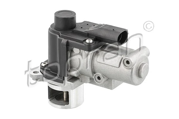 EGR Valve (639 152)