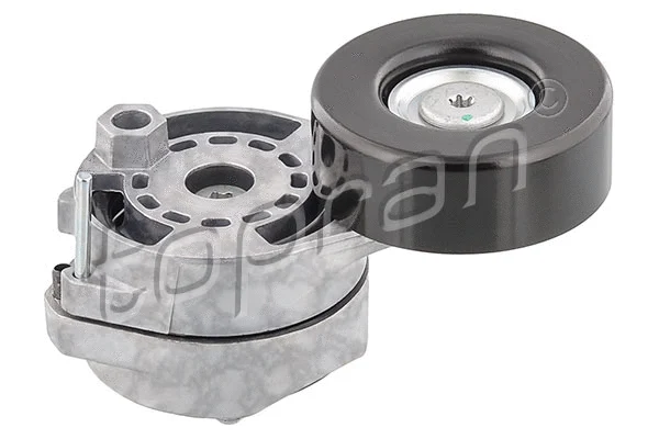 Belt Tensioner, V-ribbed belt (113 195)