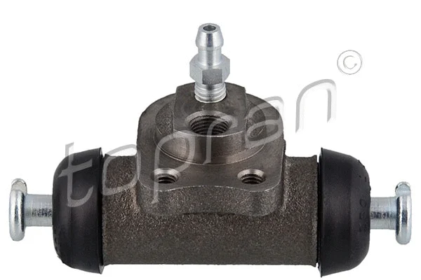 Wheel Brake Cylinder (200 897)
