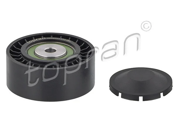 Deflection/Guide Pulley, V-ribbed belt (113 264)