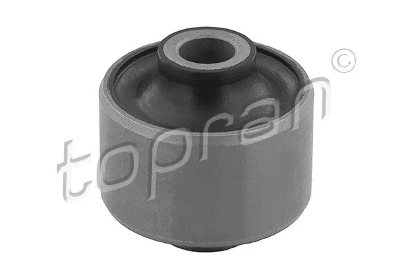 Mounting, control/trailing arm (300 565)