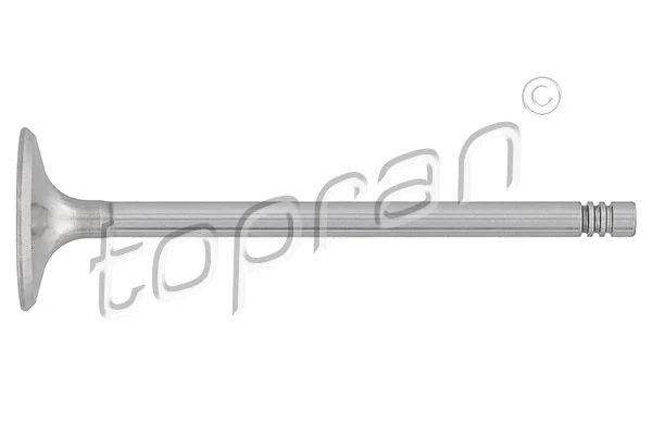 Intake Valve (205 156)