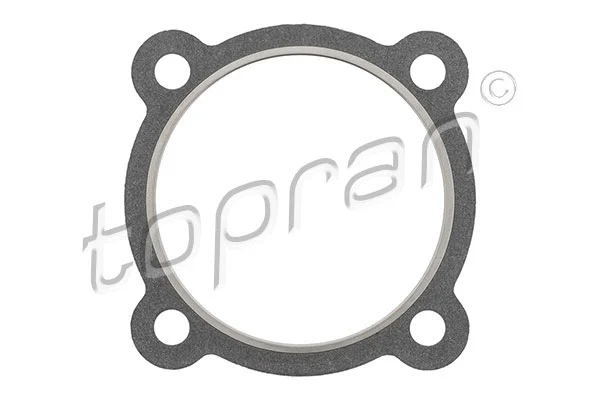 Gasket, exhaust pipe (108 182)