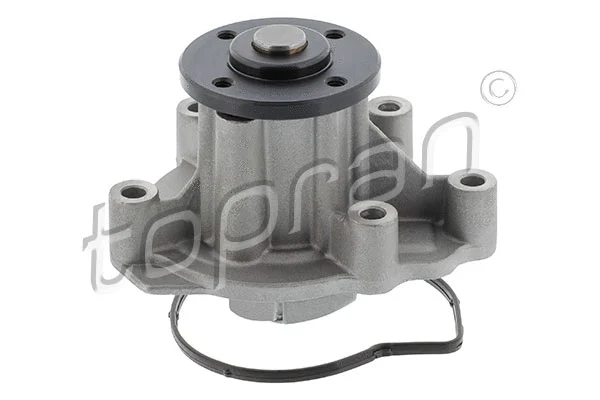 Water Pump, engine cooling (400 407)