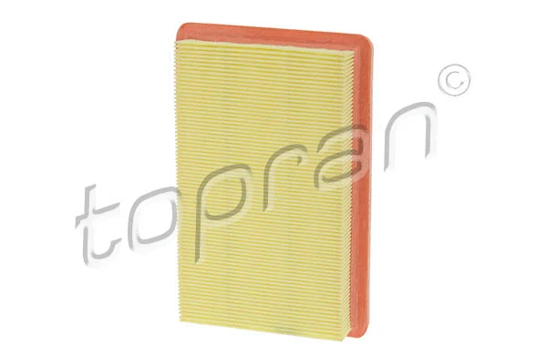 Air Filter (600 067)