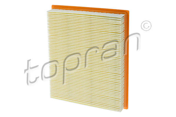 Air Filter (720 959)