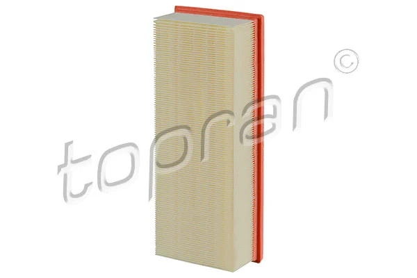 Air Filter (101 930)