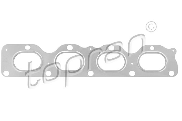Gasket, exhaust manifold (207 600)