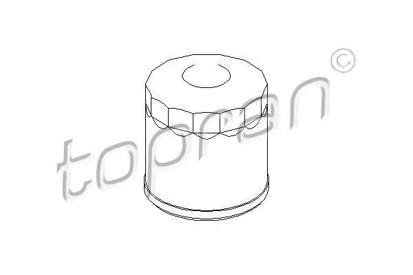 Oil Filter (207 483)