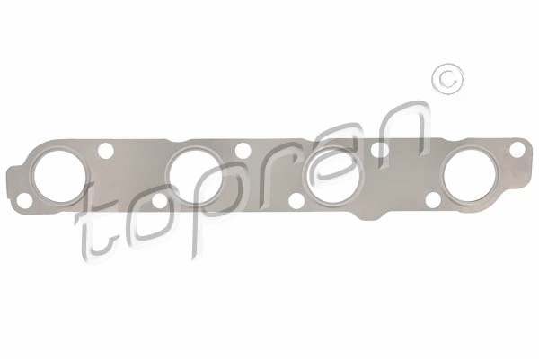 Gasket, exhaust manifold (303 985)