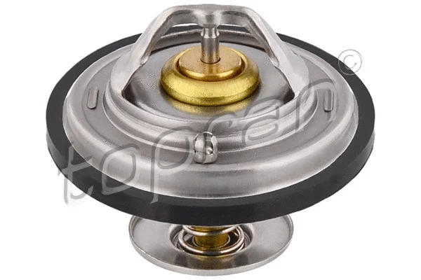Thermostat, coolant (500 547)