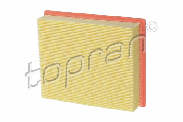 Air Filter (401 039)