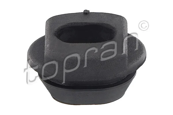Mounting, radiator (302 743)