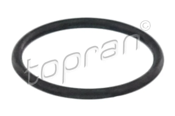 Seal Ring, injector (114 579)