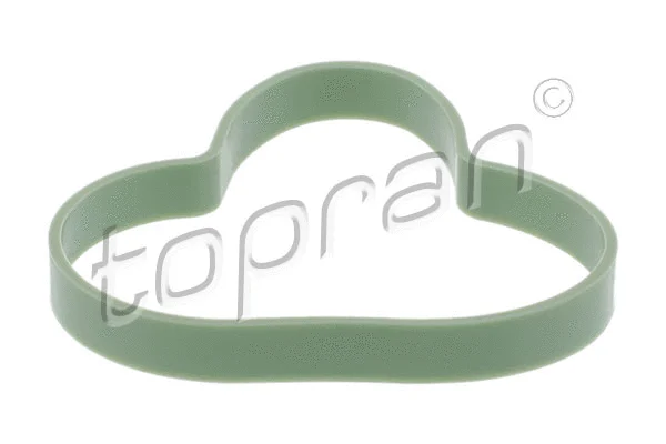 Gasket, intake manifold (301 853)