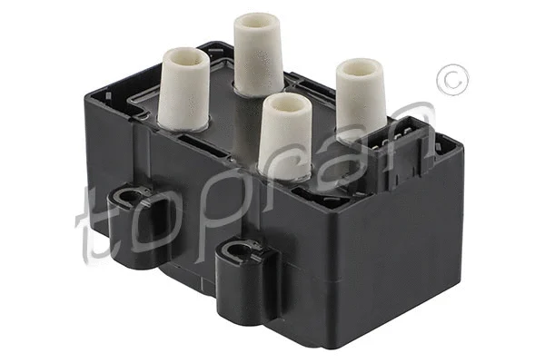 Ignition Coil (700 221)