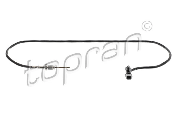 Sensor, exhaust gas temperature (702 598)