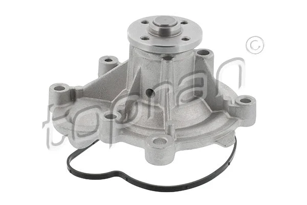 Water Pump, engine cooling (401 179)