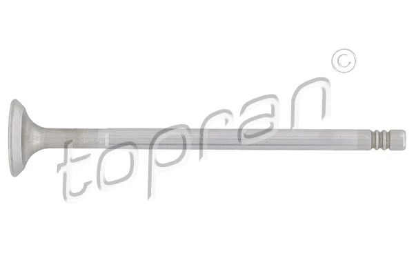 Intake Valve (207 303)