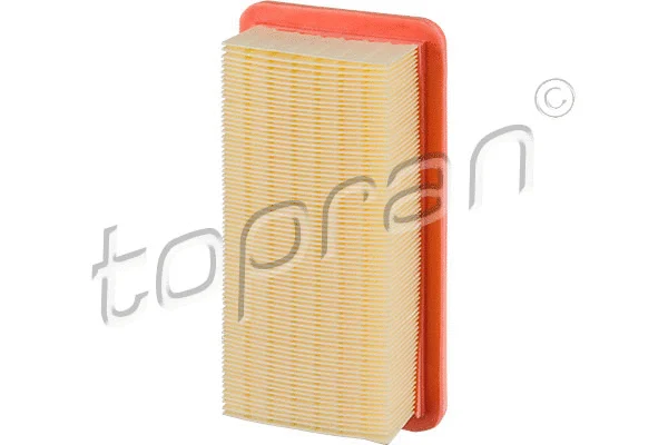 Air Filter (820 256)