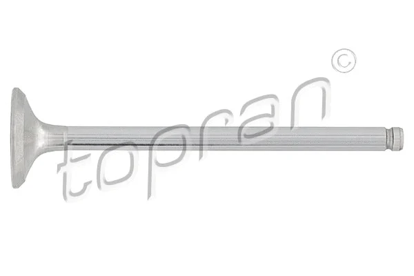 Exhaust Valve (721 563)
