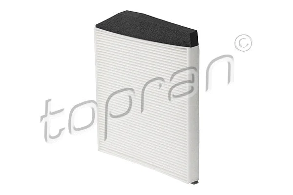 Filter, cabin air (601 077)