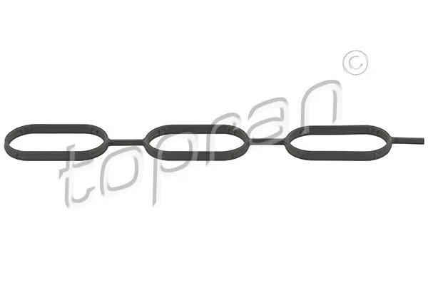 Gasket, intake manifold (111 923)