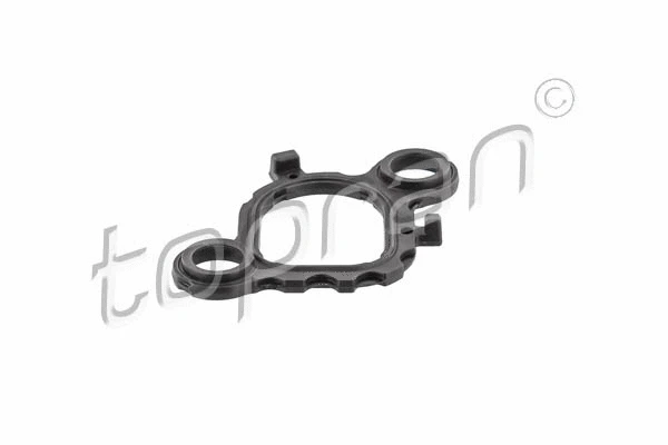 Gasket, intake manifold (111 919)