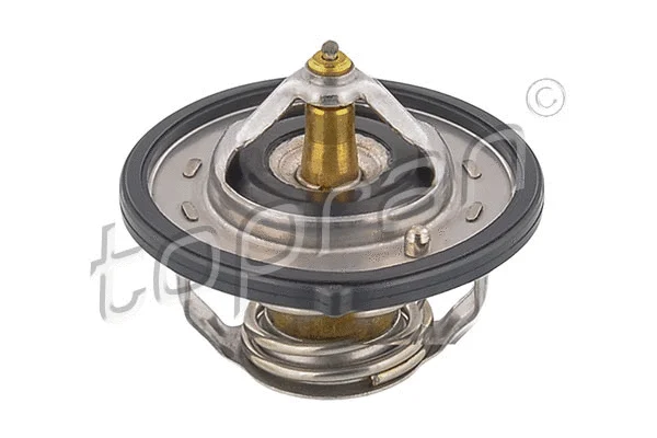 Thermostat, coolant (820 596)