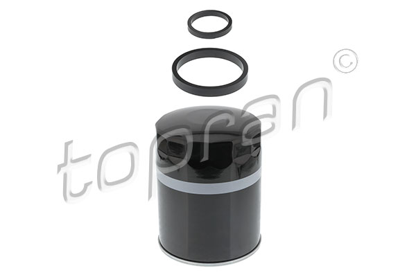 Oil Filter (721 013)