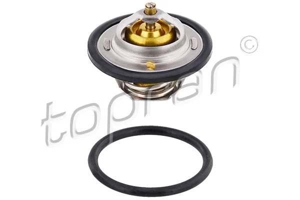 Thermostat, coolant (100 700)