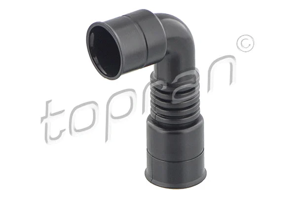 Hose, cylinder head cover ventilation (111 360)