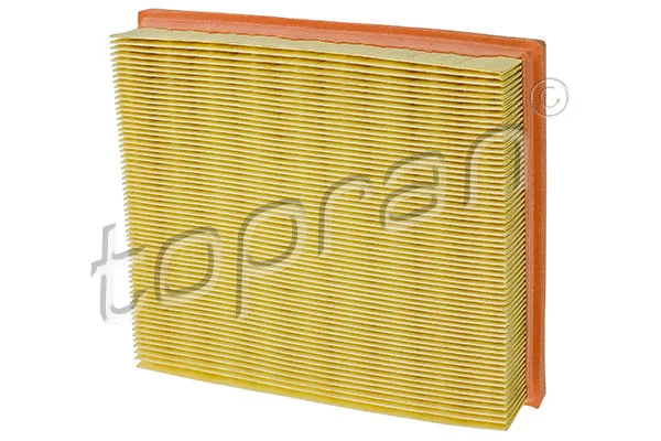 Air Filter (407 734)