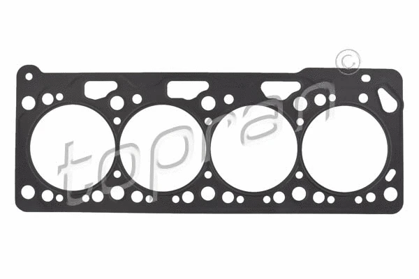 Gasket, cylinder head (100 539)