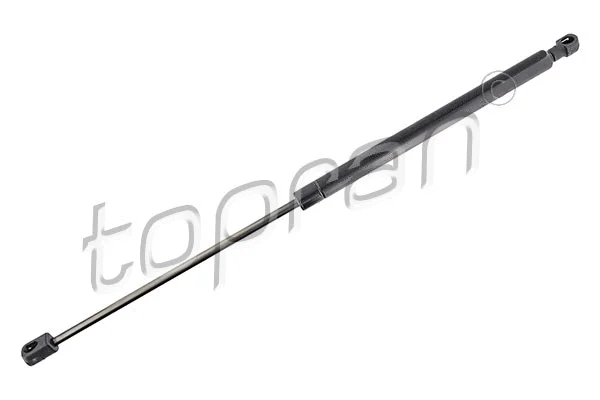 Gas Spring, boot/cargo area (600 197)