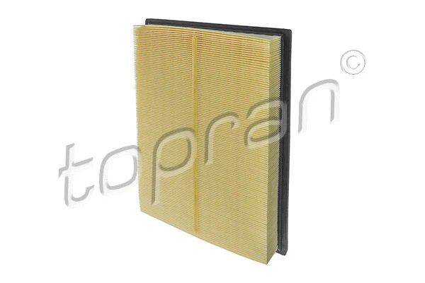 Air Filter (620 876)