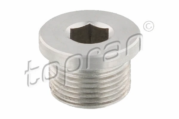 Screw Plug, transmission housing (115 364)