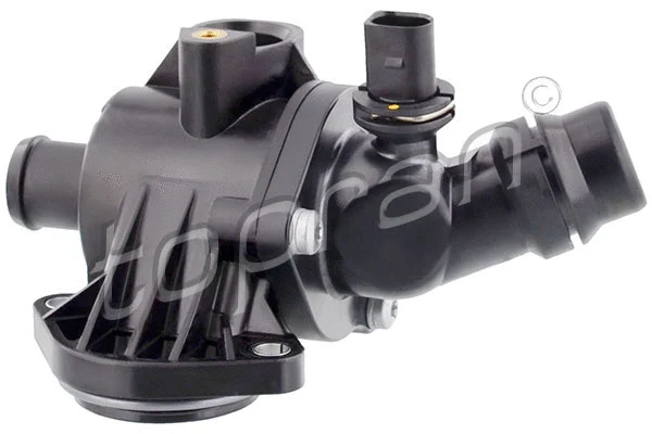 Thermostat, coolant (110 353)